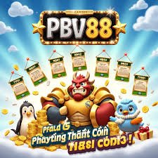 Practical privacy and password care for bd 20 account guide users